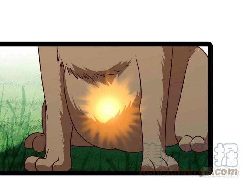 Trùng Sinh Đô Thị Thiên Tôn Chapter 296 - 14