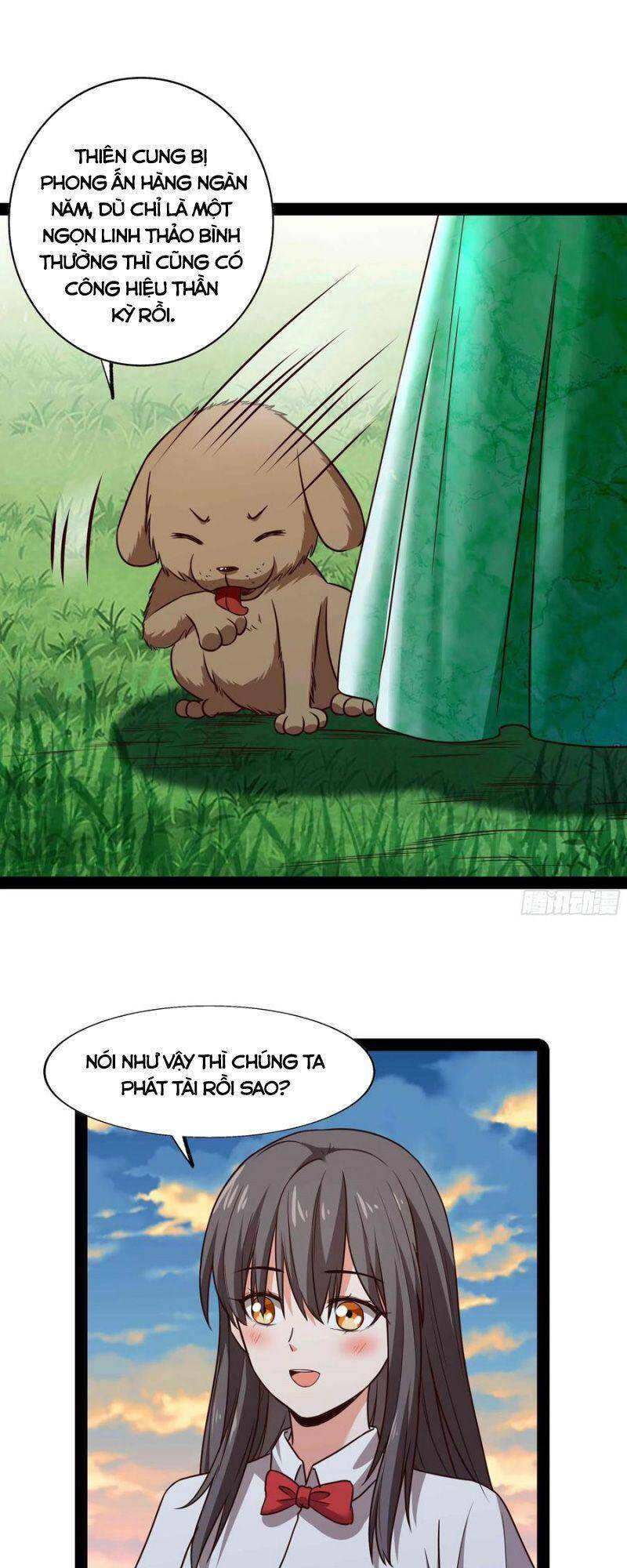 Trùng Sinh Đô Thị Thiên Tôn Chapter 296 - 15