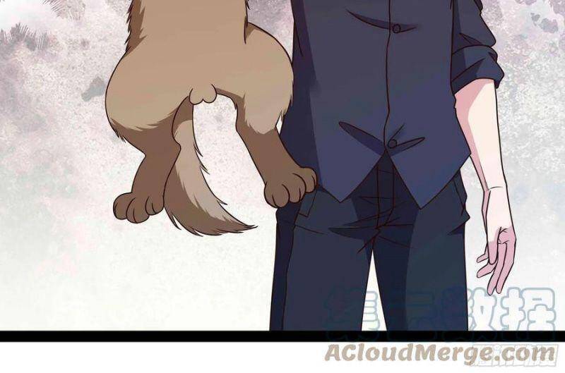 Trùng Sinh Đô Thị Thiên Tôn Chapter 296 - 4