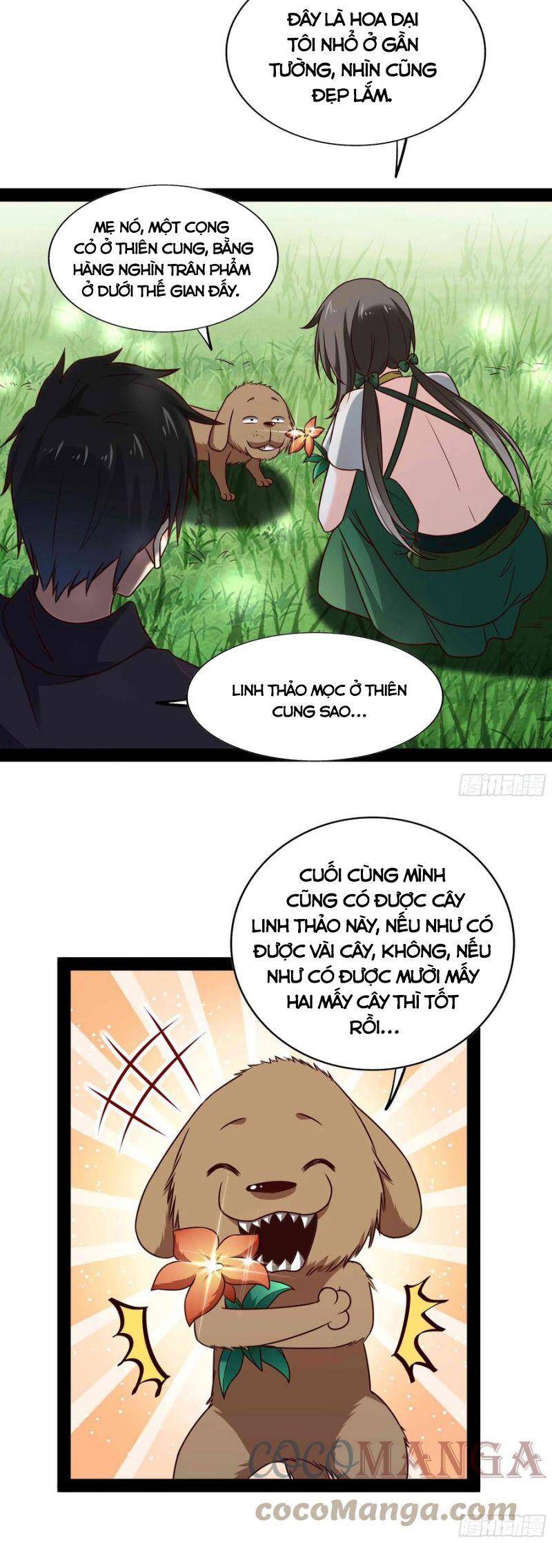 Trùng Sinh Đô Thị Thiên Tôn Chapter 297 - 17