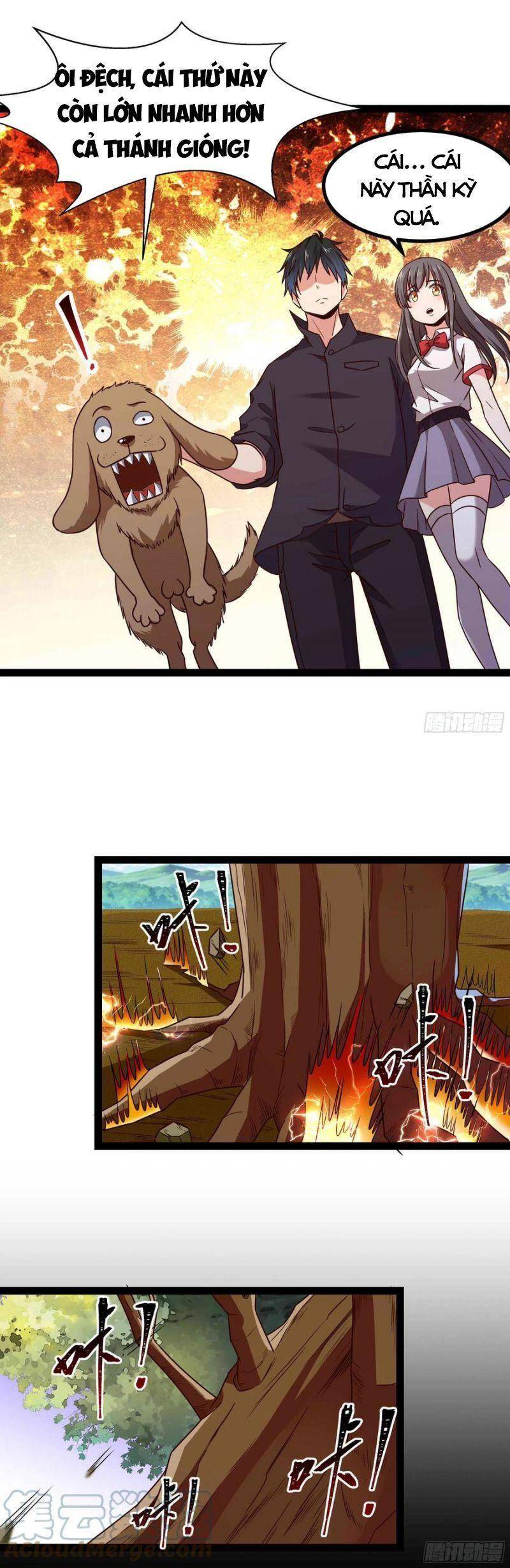 Trùng Sinh Đô Thị Thiên Tôn Chapter 299 - 3