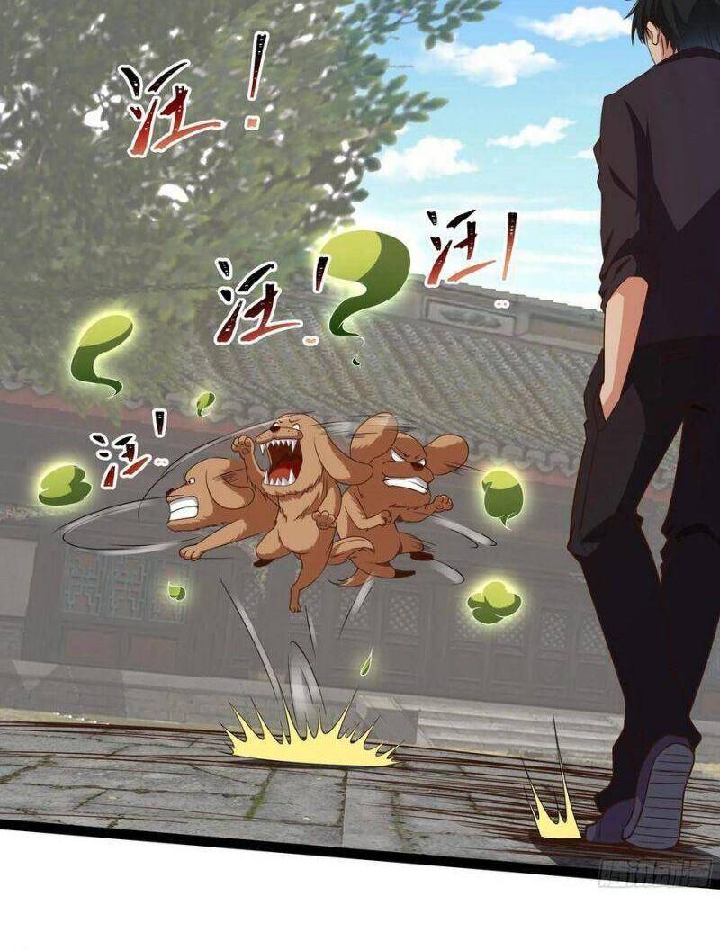 Trùng Sinh Đô Thị Thiên Tôn Chapter 311 - 22