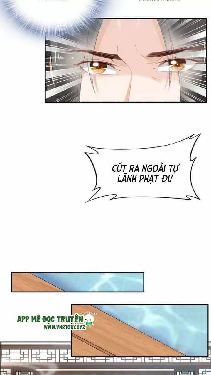 Nhất Sinh Nhất Thế Tiếu Thương Khung Chapter 74 - 29