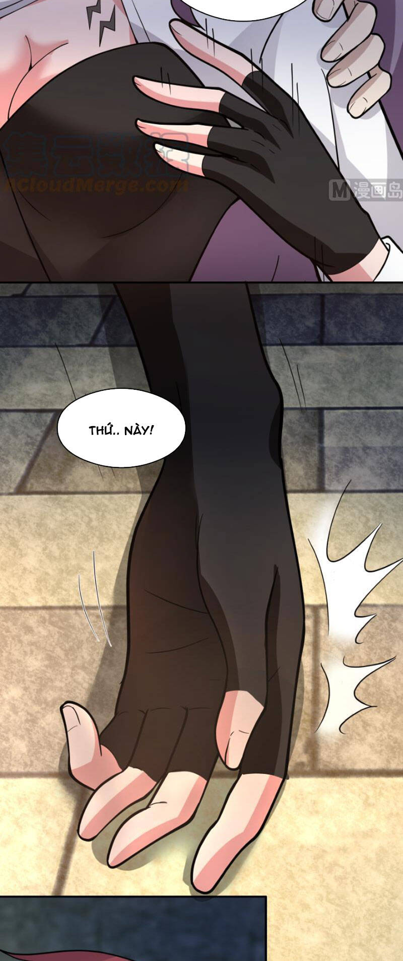 Trên Người Ta Có Một Con Rồng Chapter 502 - 5