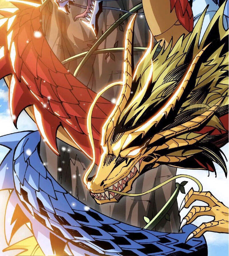 Trên Người Ta Có Một Con Rồng Chapter 414 - 24