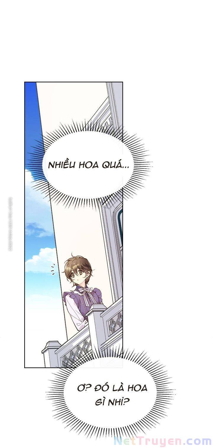 Công Chúa Chloe Chapter 45 - 68