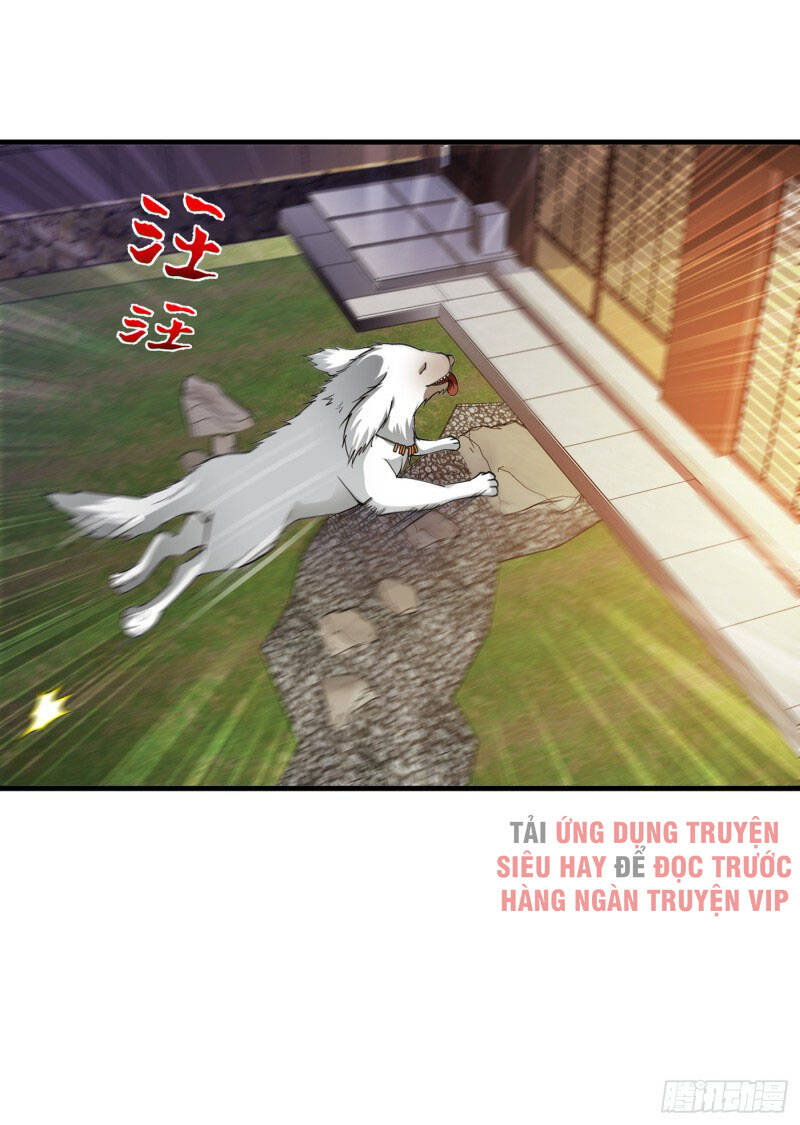 Siêu Cấp Thần Y Tại Đô Thị Chapter 171 - 27