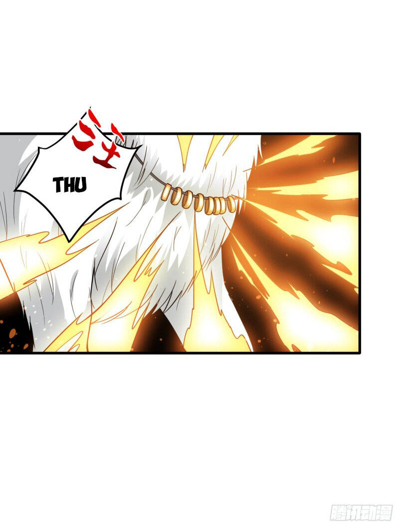 Siêu Cấp Thần Y Tại Đô Thị Chapter 171 - 29