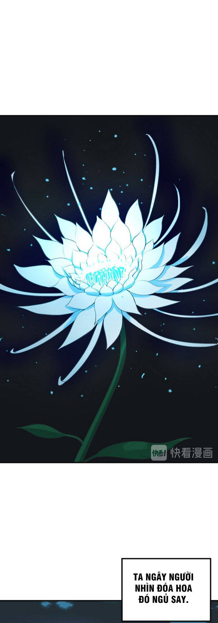 Thôn Phệ Một Thế Giới Tu Tiên Chapter 81 - 5