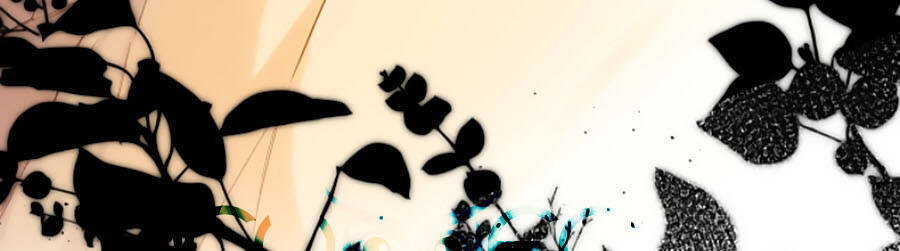 Lại Gặp Được Em Chapter 88 - 19