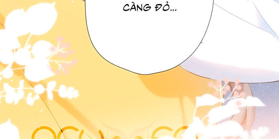 Lại Gặp Được Em Chapter 105 - 12