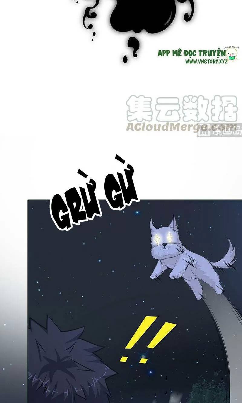 Quy Luật Tình Yêu Ở Mạt Thế Chapter 376 - 24