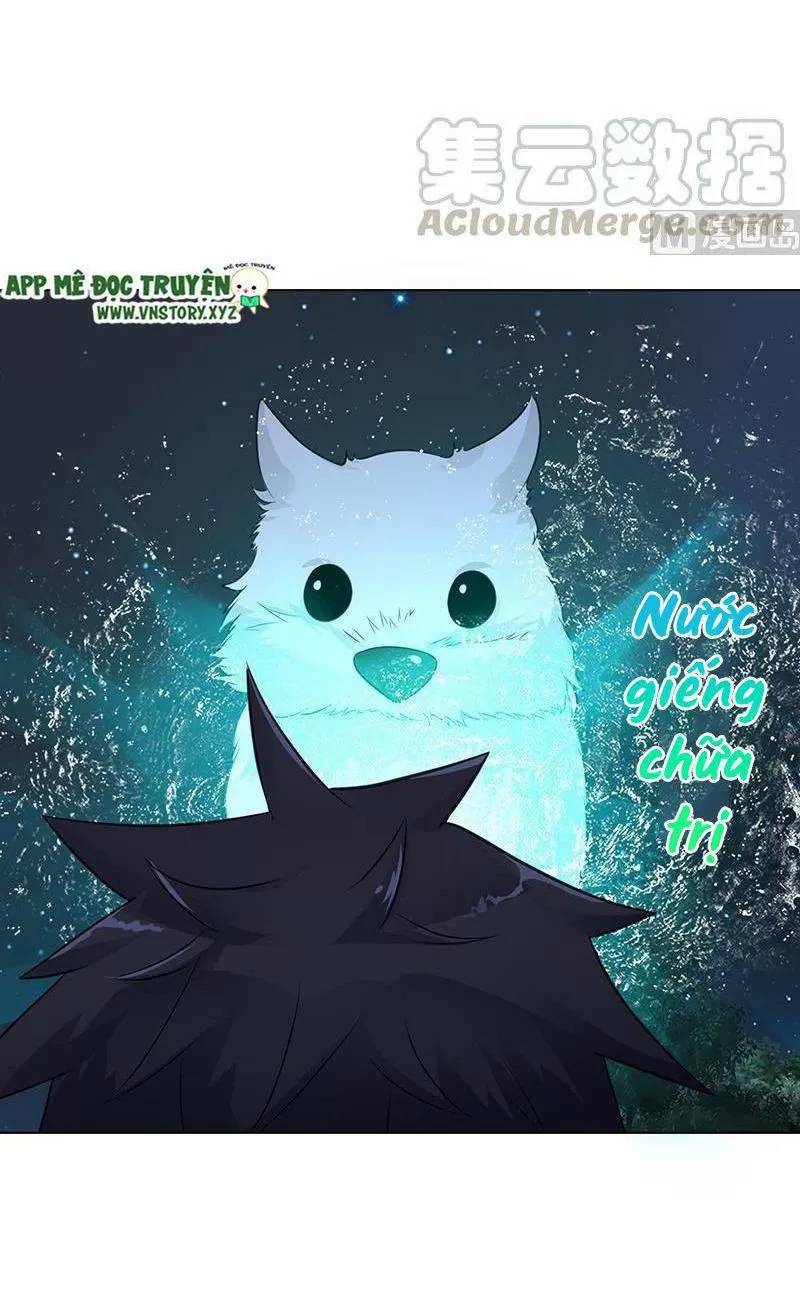 Quy Luật Tình Yêu Ở Mạt Thế Chapter 374 - 12