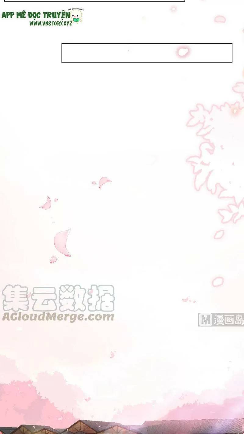 Quy Luật Tình Yêu Ở Mạt Thế Chapter 399 - 13