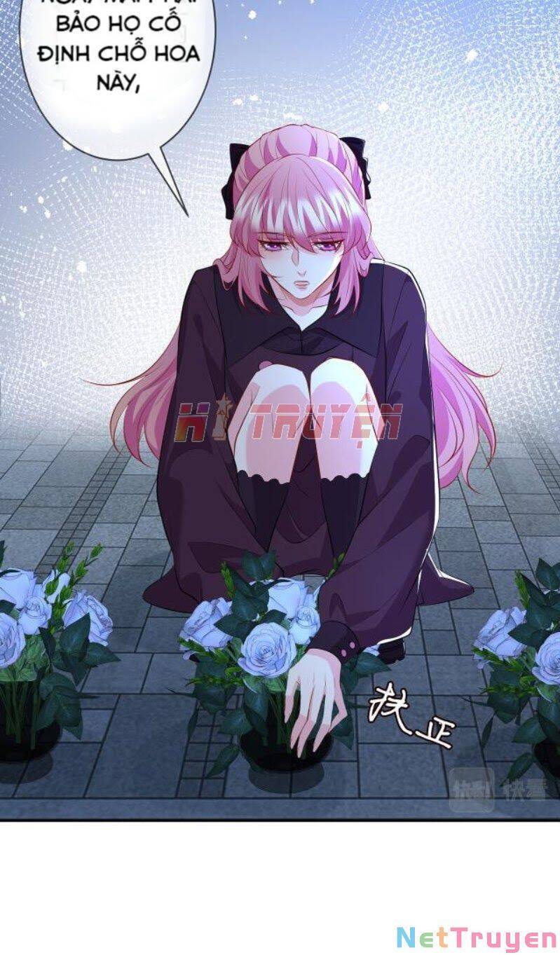 Danh Môn Chí Ái Chapter 332.1 - 8