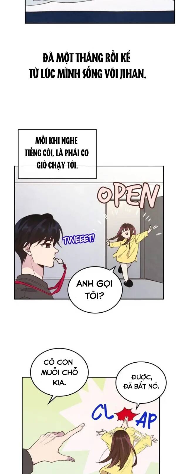 Cuộc Hôn Nhân Bất Khả Thi Chapter 13 - 3