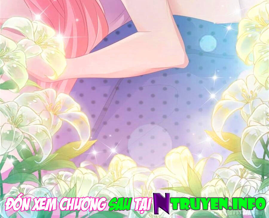 Ẩn Hôn 100%: Chọc Tức Vợ Yêu Mua Một Tặng Một Chapter 262 - 26