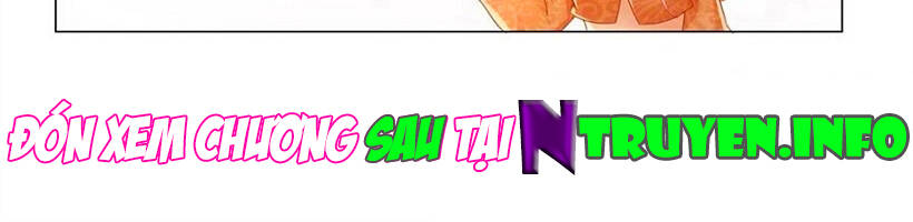 Ẩn Hôn 100%: Chọc Tức Vợ Yêu Mua Một Tặng Một Chapter 264 - 24