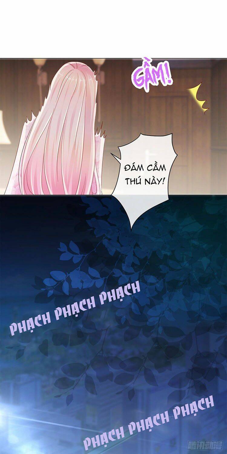 Ẩn Hôn 100%: Chọc Tức Vợ Yêu Mua Một Tặng Một Chapter 268.2 - 9