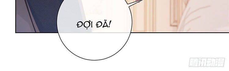 Ẩn Hôn 100%: Chọc Tức Vợ Yêu Mua Một Tặng Một Chapter 270.2 - 14