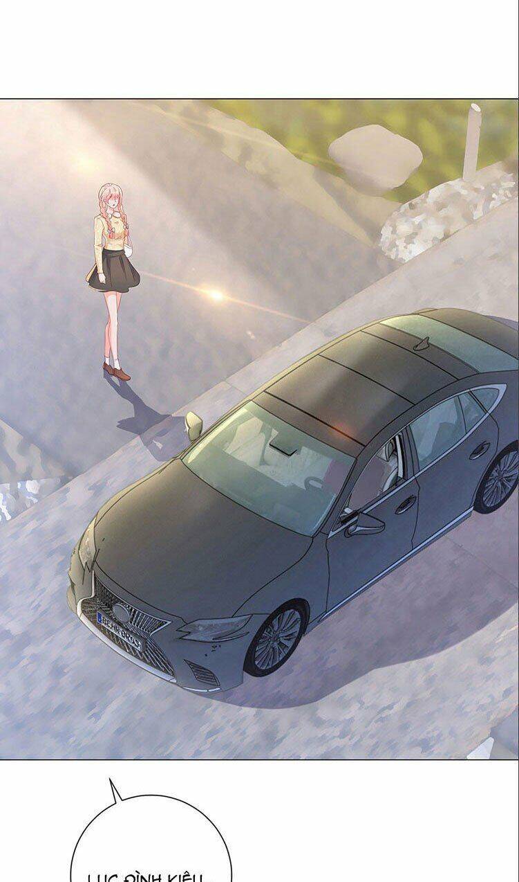 Ẩn Hôn 100%: Chọc Tức Vợ Yêu Mua Một Tặng Một Chapter 313.2 - 8