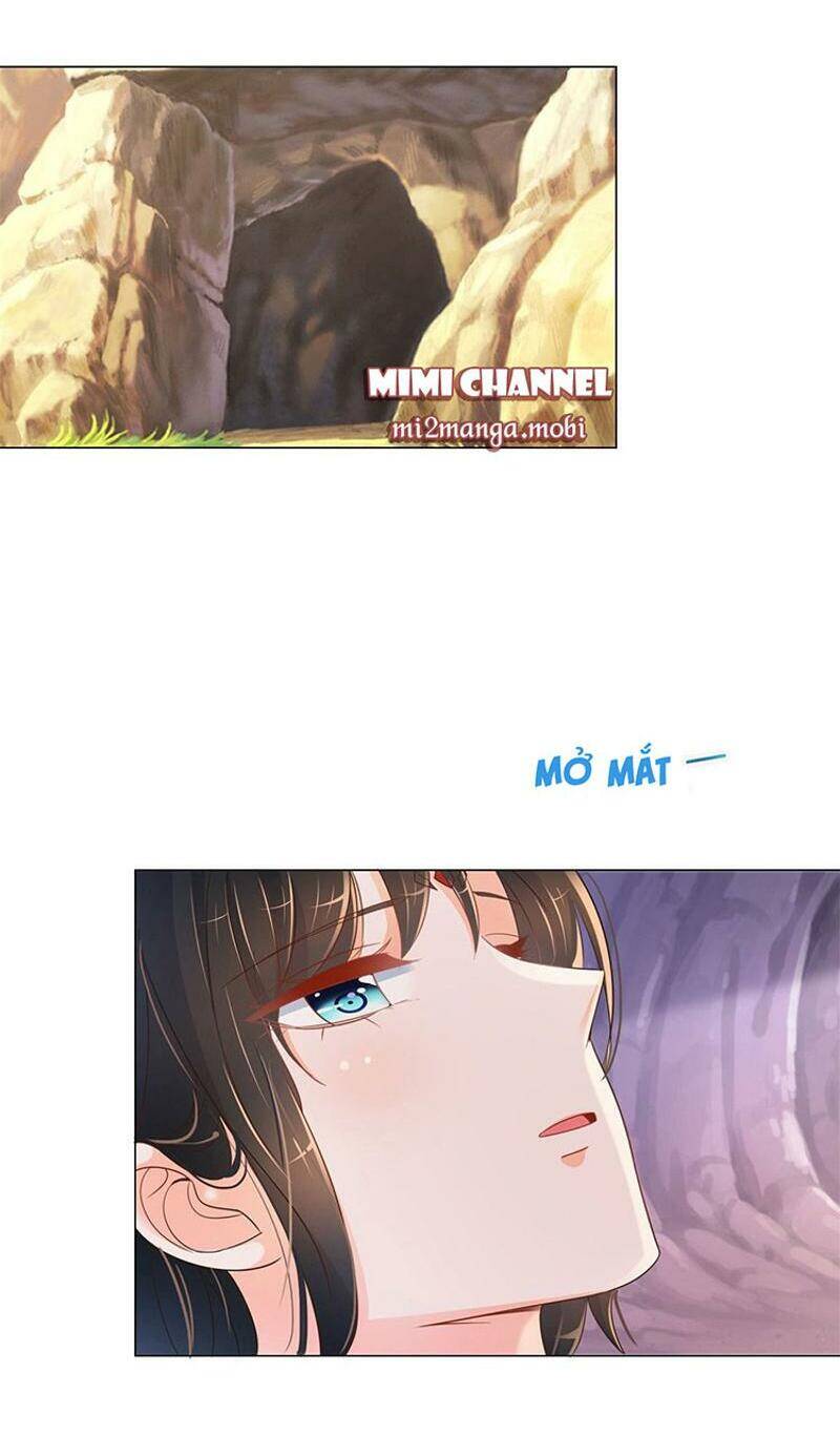 Ẩn Hôn 100%: Chọc Tức Vợ Yêu Mua Một Tặng Một Chapter 319 - 24