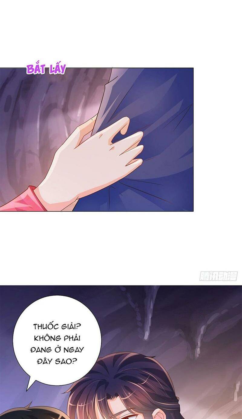 Ẩn Hôn 100%: Chọc Tức Vợ Yêu Mua Một Tặng Một Chapter 319 - 26
