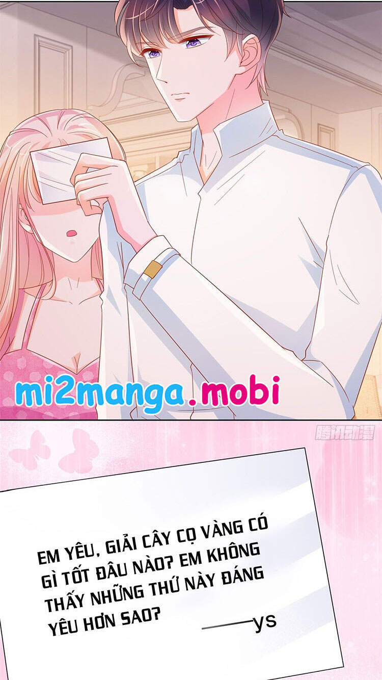 Ẩn Hôn 100%: Chọc Tức Vợ Yêu Mua Một Tặng Một Chapter 334.1 - 2