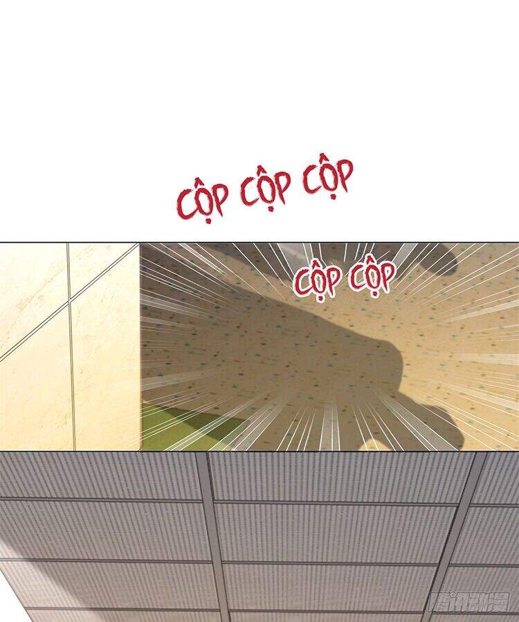 Ẩn Hôn 100%: Chọc Tức Vợ Yêu Mua Một Tặng Một Chapter 339 - 28