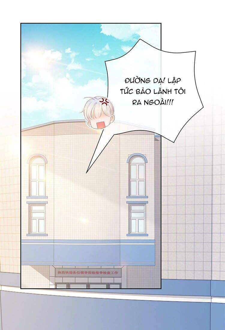 Ẩn Hôn 100%: Chọc Tức Vợ Yêu Mua Một Tặng Một Chapter 341 - 23