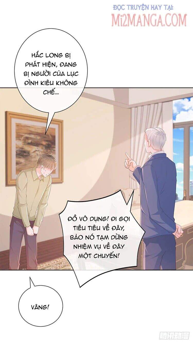 Ẩn Hôn 100%: Chọc Tức Vợ Yêu Mua Một Tặng Một Chapter 344 - 11