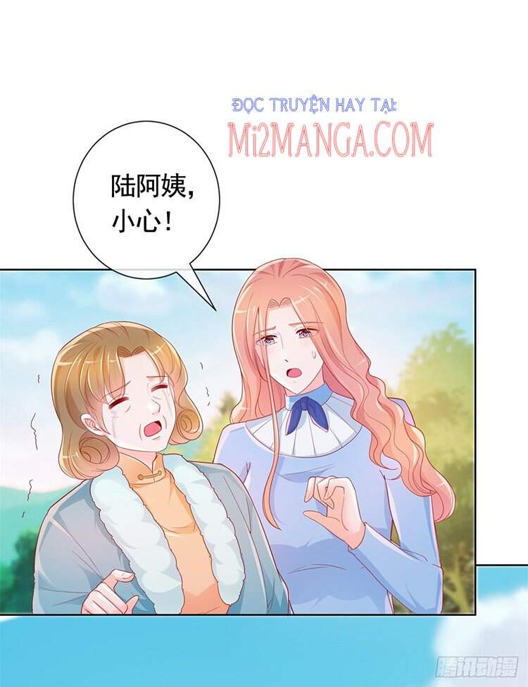 Ẩn Hôn 100%: Chọc Tức Vợ Yêu Mua Một Tặng Một Chapter 348 - 31