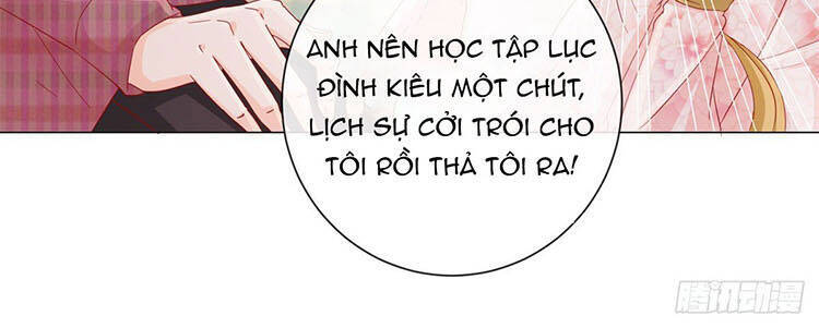 Ẩn Hôn 100%: Chọc Tức Vợ Yêu Mua Một Tặng Một Chapter 268.1 - 12