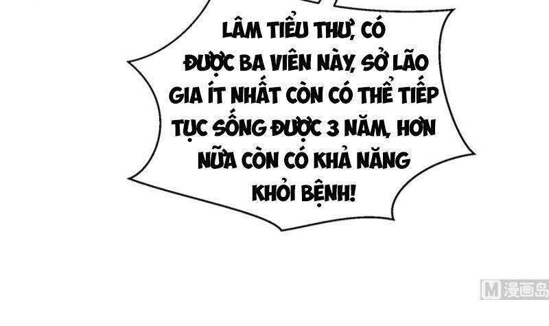 Tu Tiên Trở Về Tại Vườn Trường Chapter 269 - 8