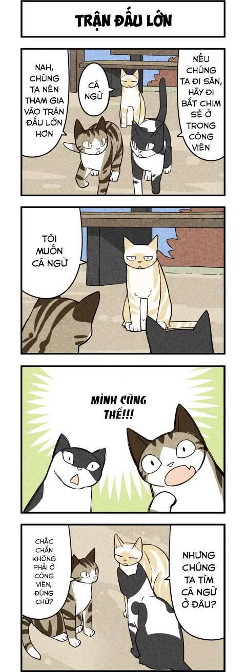 We Are Cat Chapter 16 - 6
