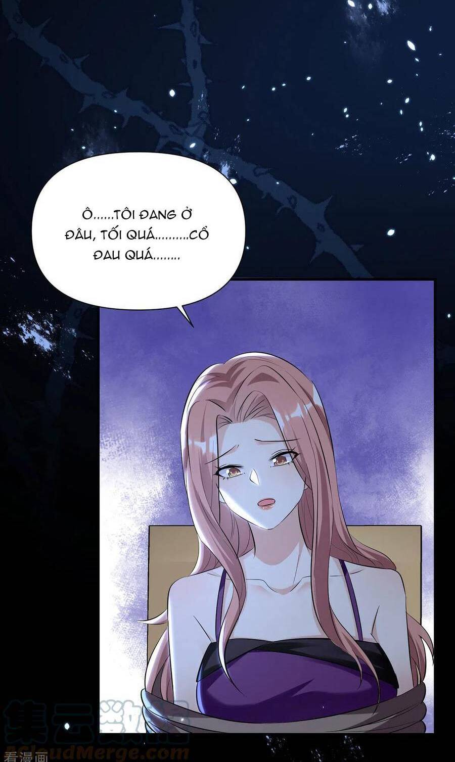 Thiên Tài Khốc Bảo: Tổng Tài Sủng Thê Quá Cường Hãn Chapter 225 - 22