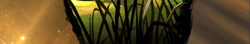 Ta Luyện Khí Ba Ngàn Năm Chapter 170 - 3