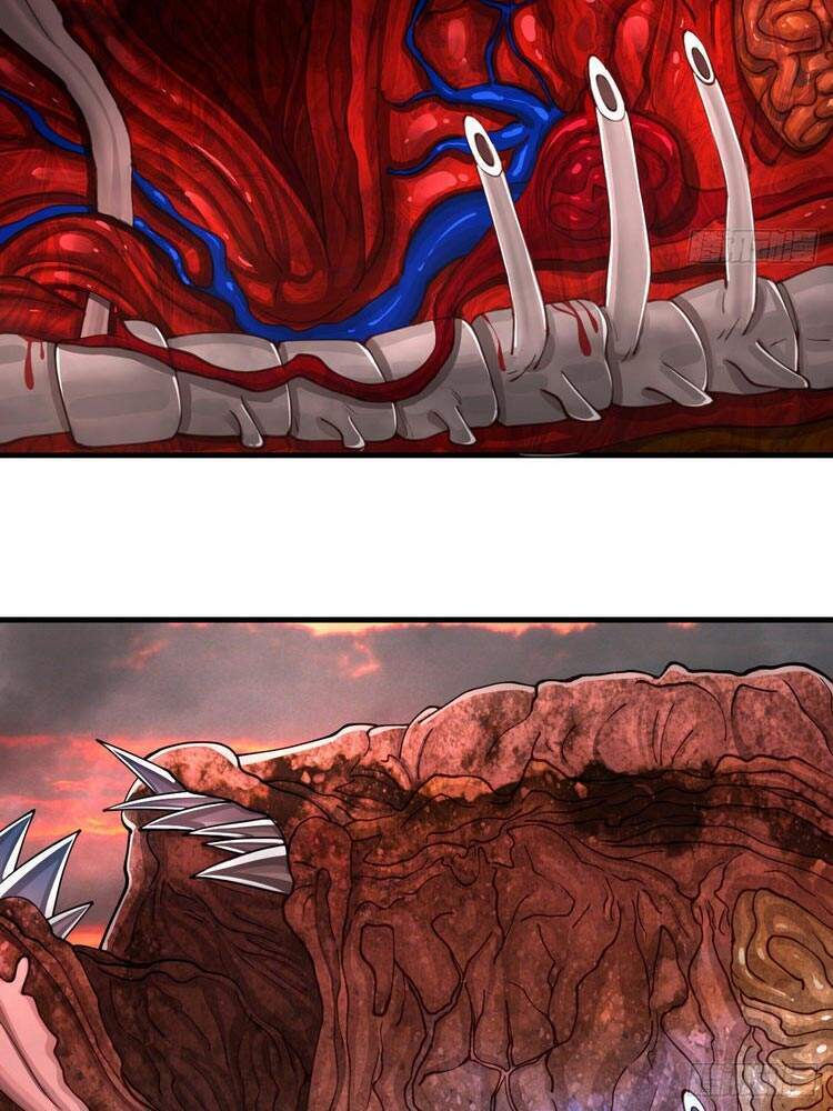 Ta Luyện Khí Ba Ngàn Năm Chapter 206 - 31