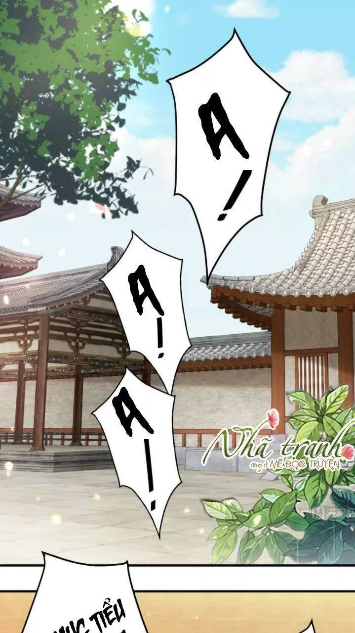 Độc Phi Ngu Ngốc Không Thể Chọc Chapter 155 - 25