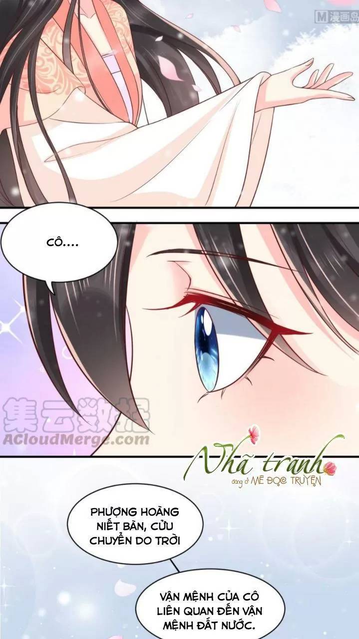 Độc Phi Ngu Ngốc Không Thể Chọc Chapter 155 - 8