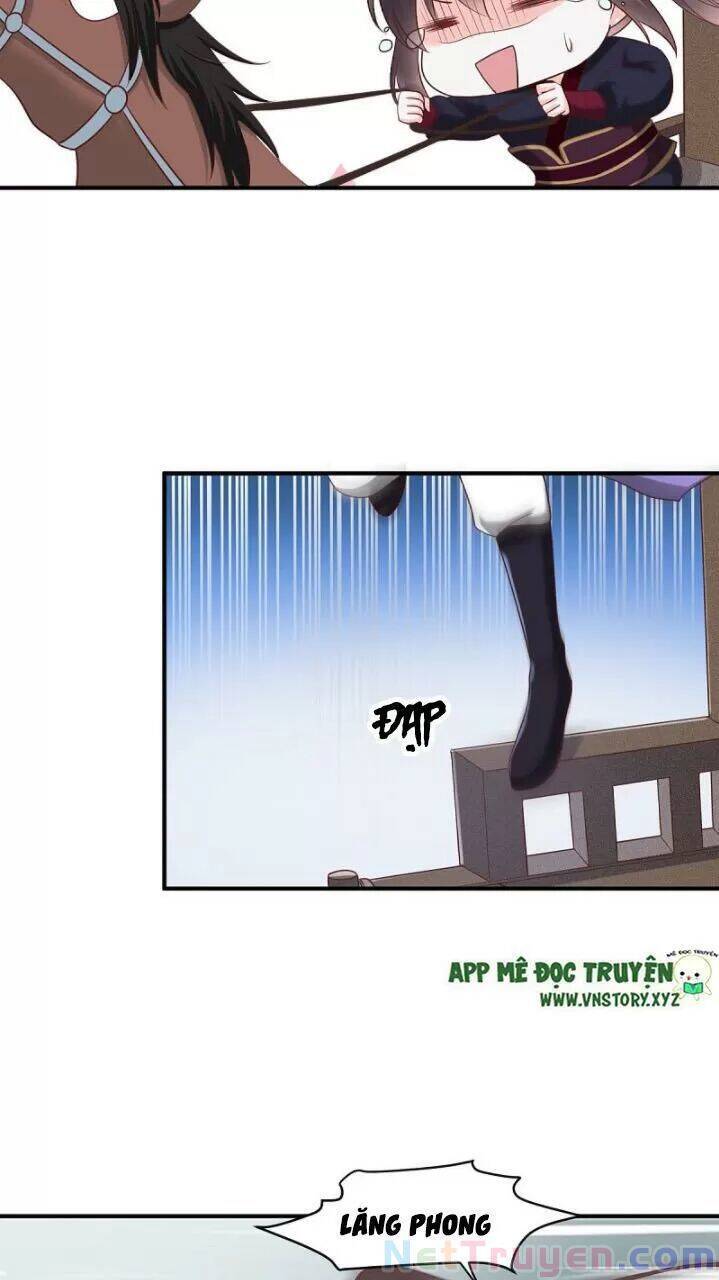 Độc Phi Ngu Ngốc Không Thể Chọc Chapter 177 - 15
