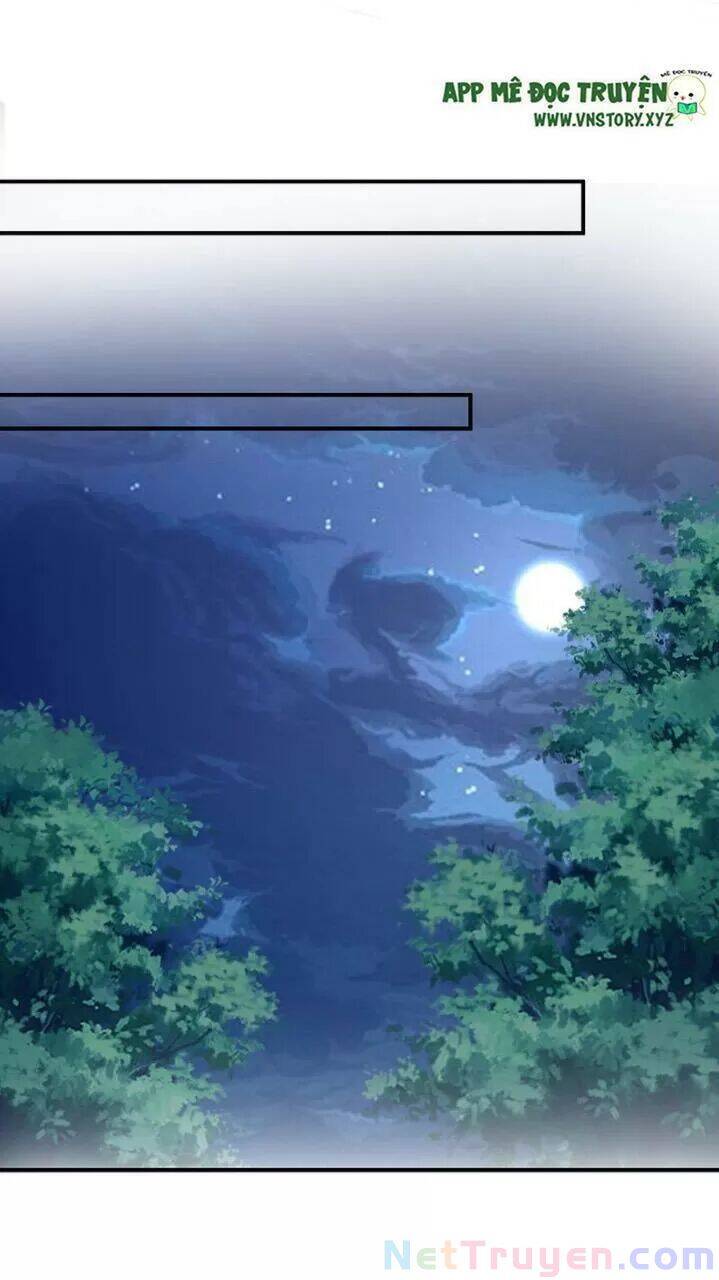 Độc Phi Ngu Ngốc Không Thể Chọc Chapter 177 - 17