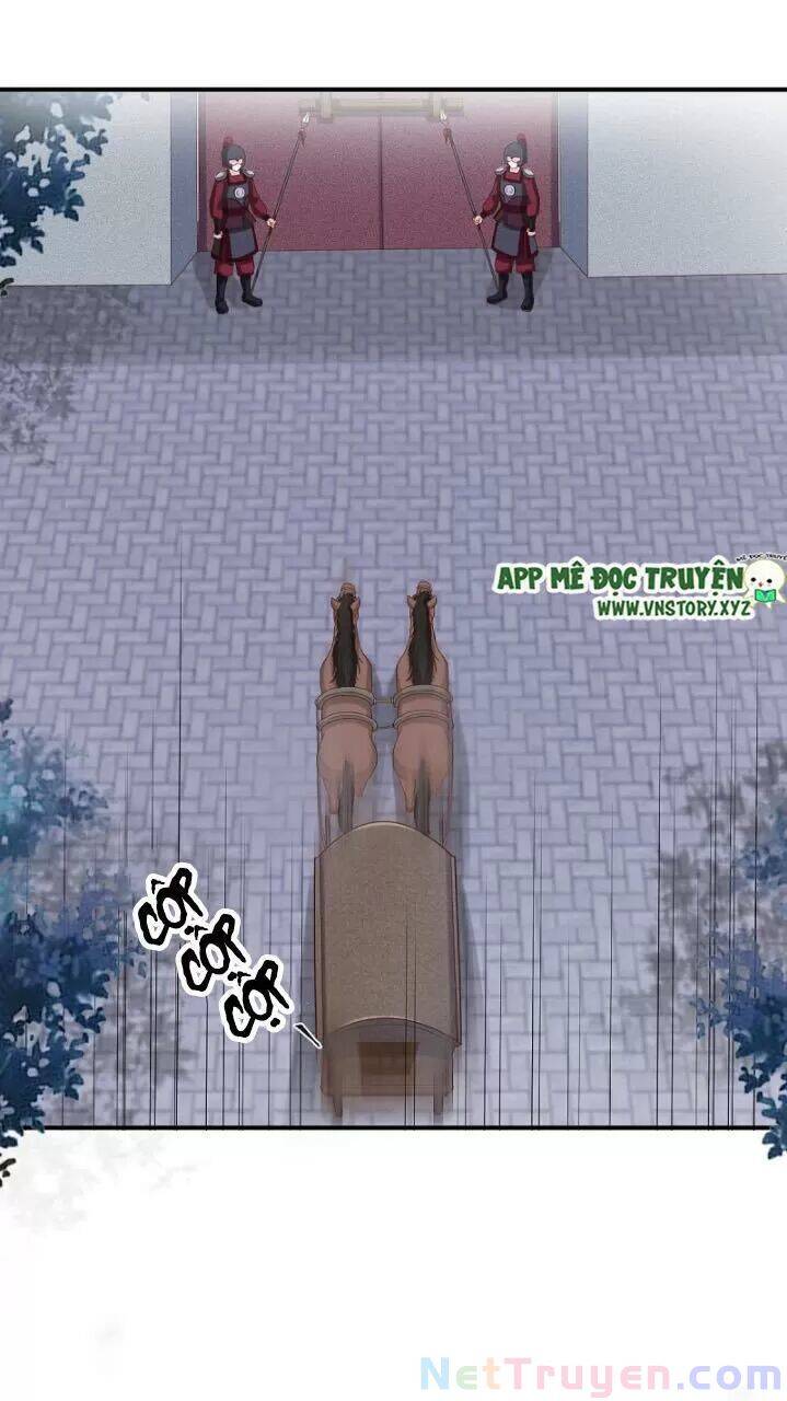 Độc Phi Ngu Ngốc Không Thể Chọc Chapter 177 - 3