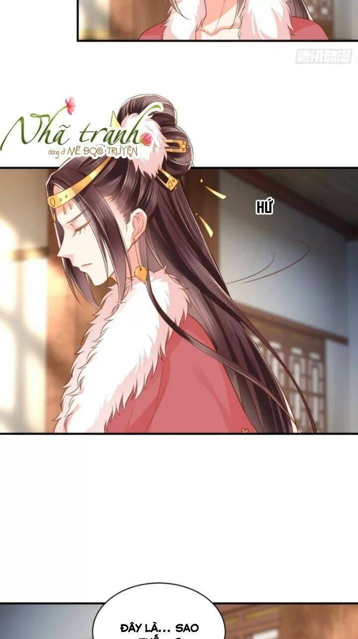 Độc Phi Ngu Ngốc Không Thể Chọc Chapter 158 - 12