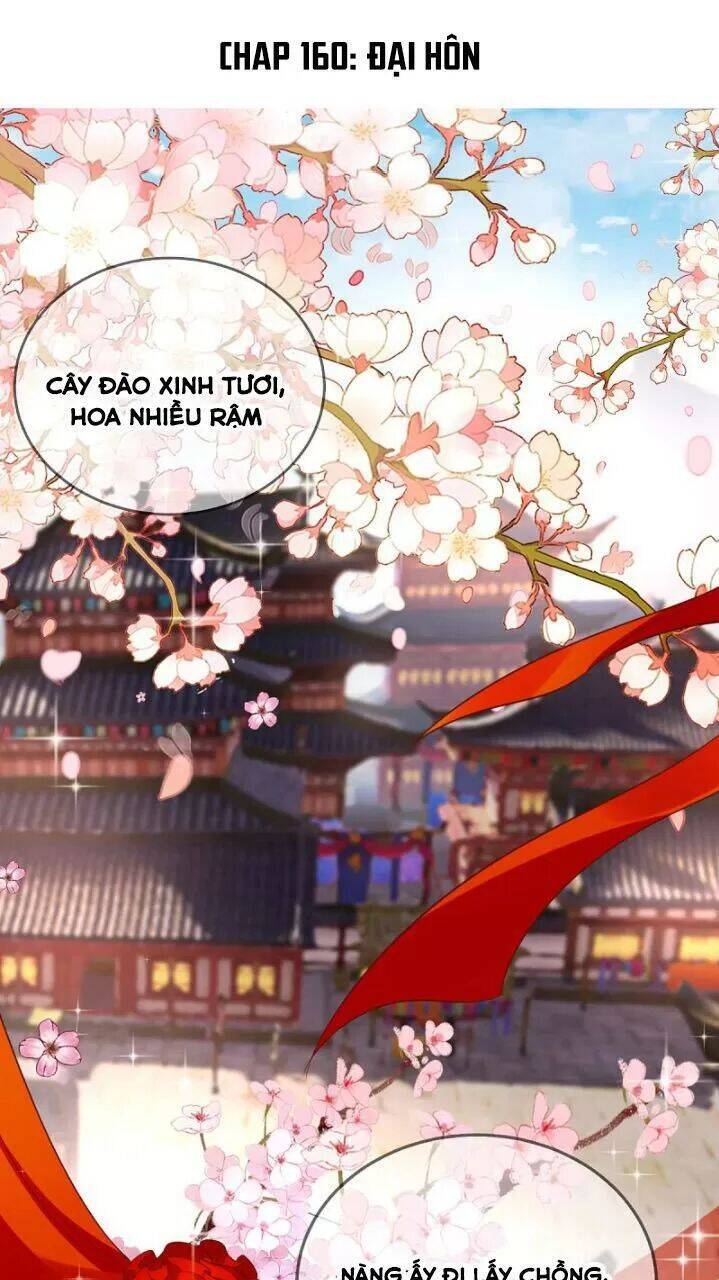 Độc Phi Ngu Ngốc Không Thể Chọc Chapter 160 - 1