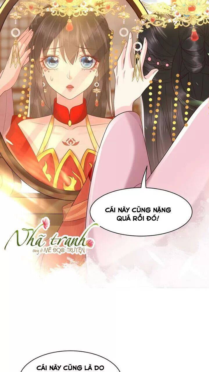 Độc Phi Ngu Ngốc Không Thể Chọc Chapter 160 - 11