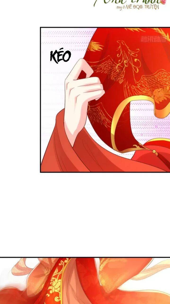 Độc Phi Ngu Ngốc Không Thể Chọc Chapter 161 - 15