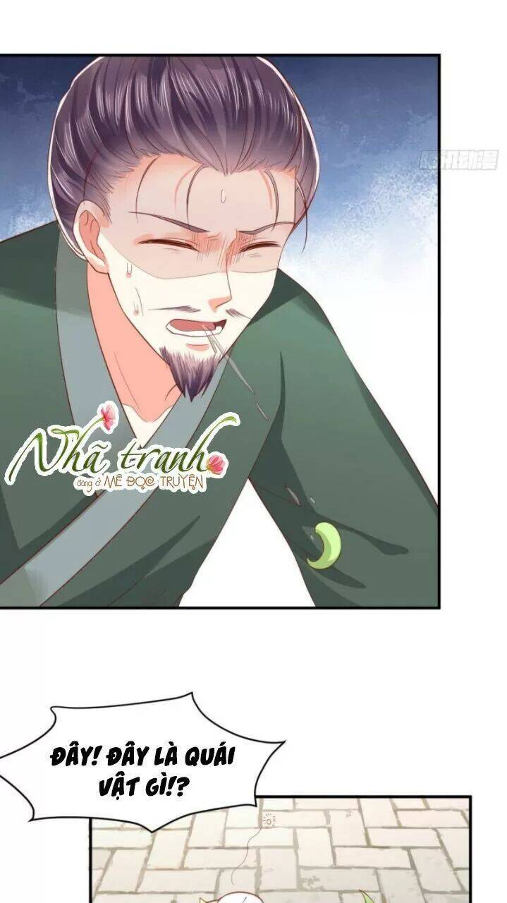 Độc Phi Ngu Ngốc Không Thể Chọc Chapter 161 - 21