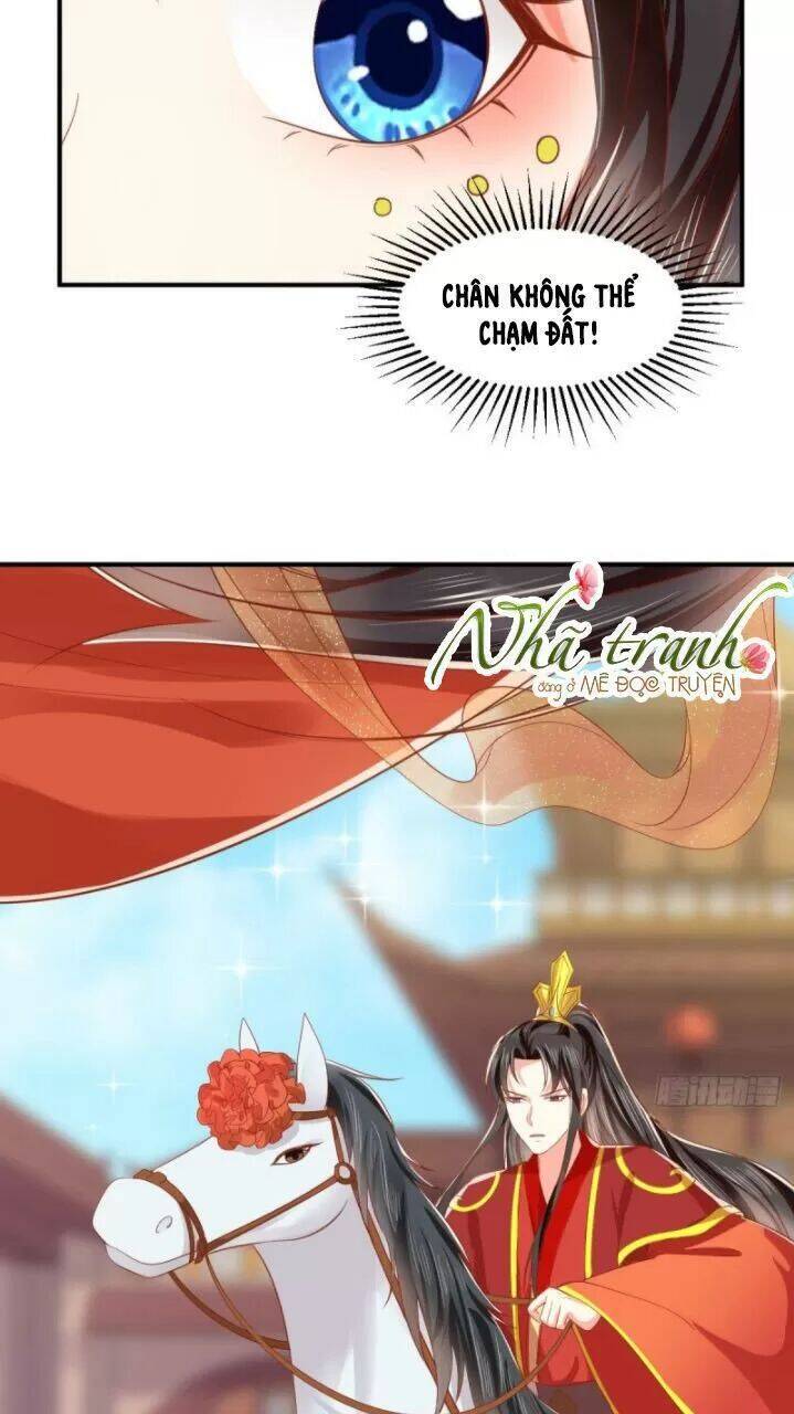 Độc Phi Ngu Ngốc Không Thể Chọc Chapter 161 - 29