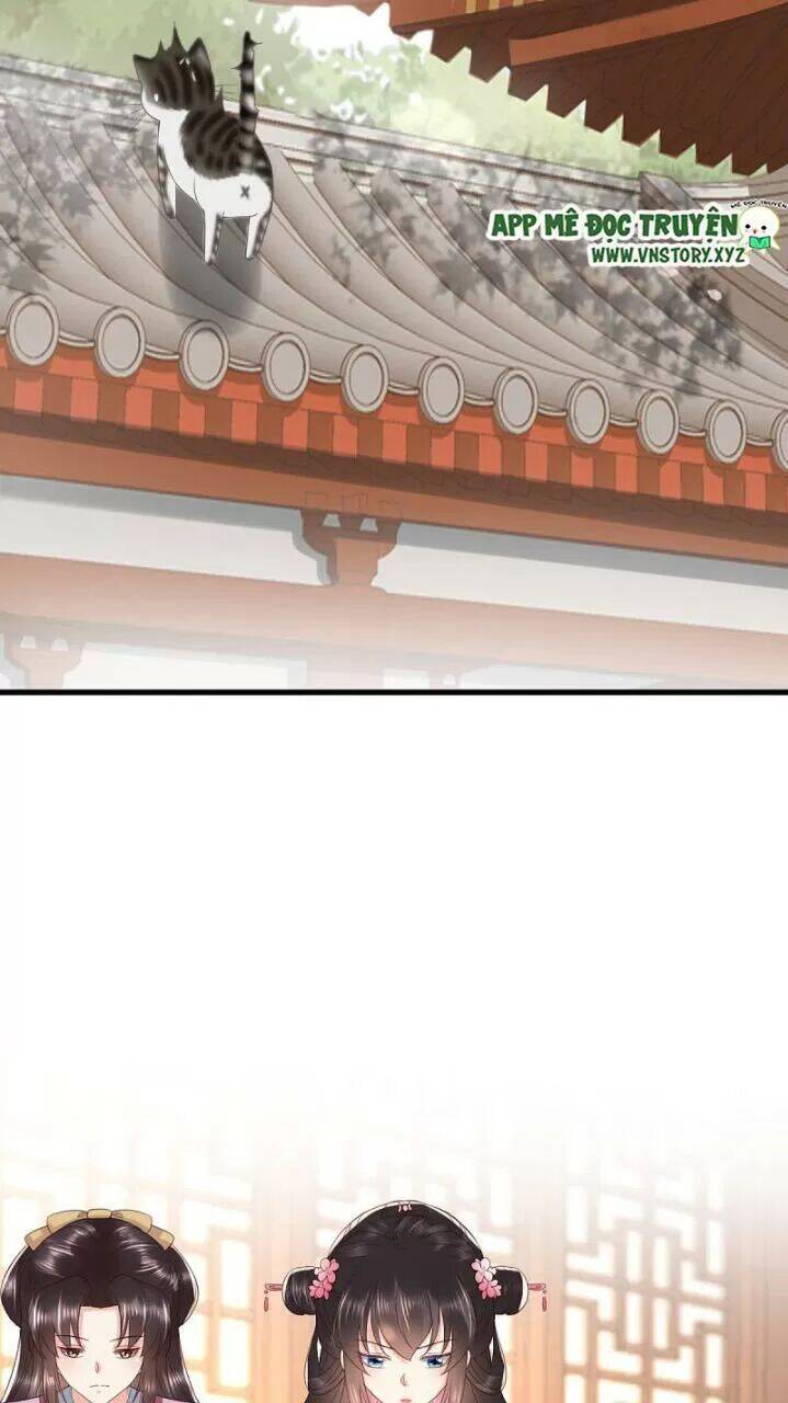 Độc Phi Ngu Ngốc Không Thể Chọc Chapter 168 - 11